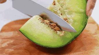 新疆蜜瓜几月份吃,新疆蜜瓜盛夏美味时节  第2张