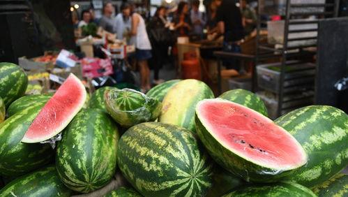 天天吃瓜少不了,天天吃瓜少不了的趣味人生  第2张