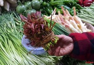 热心的吃瓜网,揭秘娱乐圈幕后故事,带你领略明星真实生活 第2张 热心的吃瓜网,揭秘娱乐圈幕后故事,带你领略明星真实生活 第2张