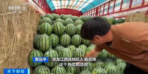 舒远吃瓜 第2张 舒远吃瓜 第2张