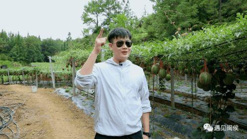 舒远吃瓜 第3张 舒远吃瓜 第3张