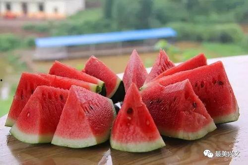 瓜熟季节随便吃,随季节变化，尽享时令瓜果盛宴  第2张