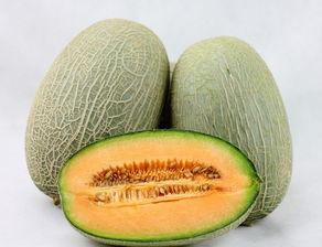 雪碧和哈密瓜可以吃吗,雪碧搭配哈密瓜的清新食趣 第2张 雪碧和哈密瓜可以吃吗,雪碧搭配哈密瓜的清新食趣 第2张