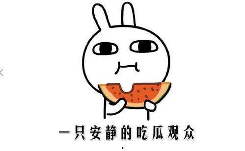 怎样克服吃瓜上瘾,重拾生活平衡之道  第2张