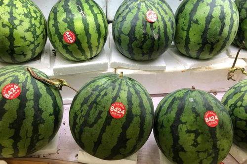 仙源吃瓜,揭秘神秘仙源村的吃瓜大事件  第3张