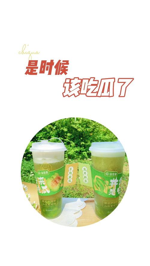吃瓜和茶叶,探寻茶与瓜的奇妙交融  第3张