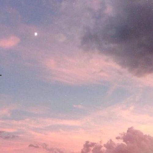 吃瓜云热评  第2张