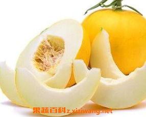 兔子可以吃伊丽莎白瓜吗,伊丽莎白瓜是否适合兔子食用？