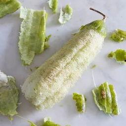 药瓜根怎么吃,药瓜根的食用方法与营养功效解析 第2张 药瓜根怎么吃,药瓜根的食用方法与营养功效解析 第2张