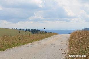 为什么梦见摘瓜吃,揭秘摘瓜吃梦的深层寓意  第3张