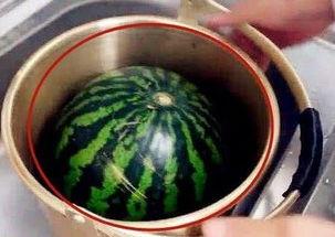 吃瓜换种视频,跟随吃瓜大军探索视频新天地