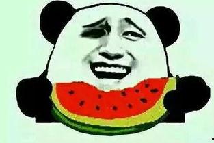 不太会吃瓜,那些不太会吃瓜的幕后故事