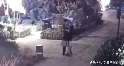 忻州吃瓜事件视频,一场引发热议的网络风波 第2张 忻州吃瓜事件视频,一场引发热议的网络风波 第2张