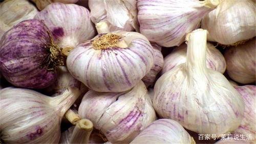 吃茭瓜升不升血糖,升糖还是降糖? 第2张 吃茭瓜升不升血糖,升糖还是降糖? 第2张