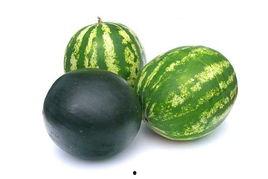 南和吃瓜事件,一场网络热议背后的真相揭秘  第1张