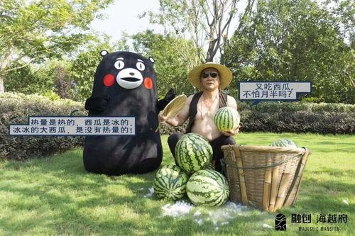 南和吃瓜事件,一场网络热议背后的真相揭秘  第2张