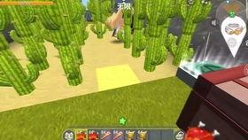 迷你世界兄弟吃瓜,迷你世界兄弟间的甜蜜瓜果争夺战 第2张 迷你世界兄弟吃瓜,迷你世界兄弟间的甜蜜瓜果争夺战 第2张