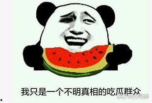 吃瓜打官司事件