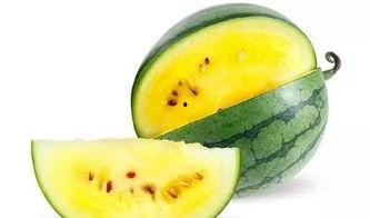 带你吃瓜课本细节,揭秘课本中的那些鲜为人知的细节 第3张 带你吃瓜课本细节,揭秘课本中的那些鲜为人知的细节 第3张