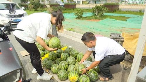 15元吃瓜,吃瓜盛宴来袭！