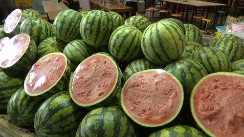 15元吃瓜,吃瓜盛宴来袭！  第2张