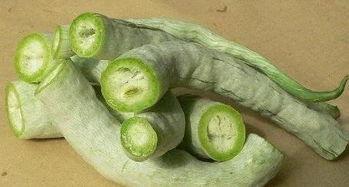 骆驼吃蛇瓜,探寻沙漠中的蛇瓜之谜 第2张 骆驼吃蛇瓜,探寻沙漠中的蛇瓜之谜 第2张