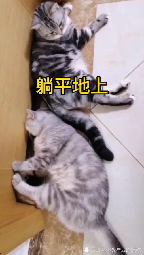 躺地上吃瓜,夏日休闲新风尚  第2张