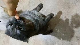 躺地上吃瓜,夏日休闲新风尚  第3张