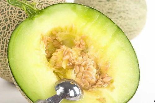 吃蜜瓜什么梗,揭秘吃蜜瓜背后的趣味梗  第2张