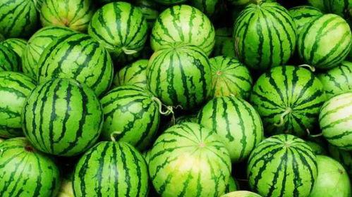 高危职业吃瓜网友,吃瓜网友视角下的真实生活 第3张 高危职业吃瓜网友,吃瓜网友视角下的真实生活 第3张