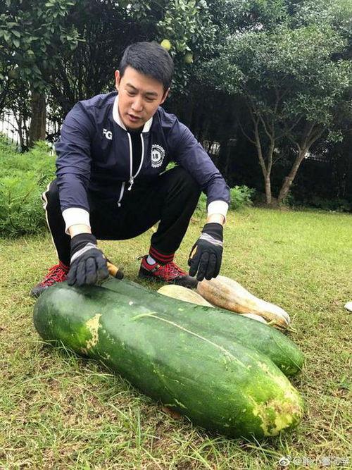 农村姐妹吃瓜照片,共享丰收喜悦瞬间  第2张