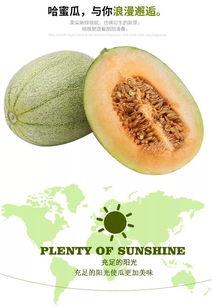 哈密瓜就得这样吃 第3张 哈密瓜就得这样吃 第3张