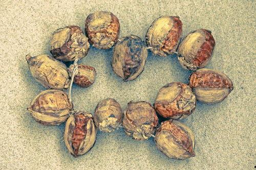 淡水瓜敢吃吗,探索淡水瓜的食用安全与口感之谜