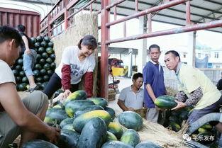 平乐吃瓜 第2张 平乐吃瓜 第2张