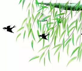 平乐吃瓜 第3张 平乐吃瓜 第3张