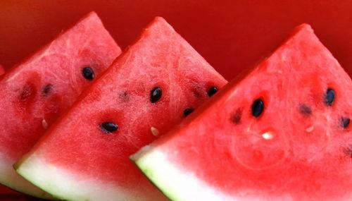 碧水蓝山吃瓜,揭秘吃瓜背后的故事与趣味 第2张 碧水蓝山吃瓜,揭秘吃瓜背后的故事与趣味 第2张