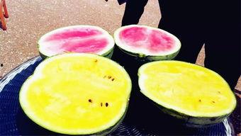 各校吃瓜爆料,各校吃瓜爆料大汇总!” 第2张 各校吃瓜爆料,各校吃瓜爆料大汇总!” 第2张