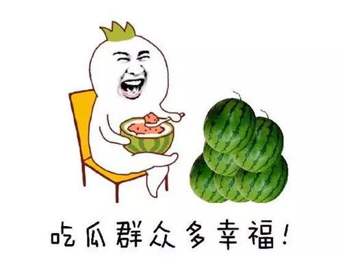 吃瓜p图,揭秘网络恶搞背后的趣味与争议  第2张