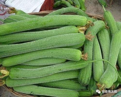 爱吃虾的吃瓜群众,吃瓜群众热议美食盛宴