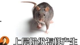 疫情大学吃瓜,大学里的“吃瓜”现象解析 第3张 疫情大学吃瓜,大学里的“吃瓜”现象解析 第3张