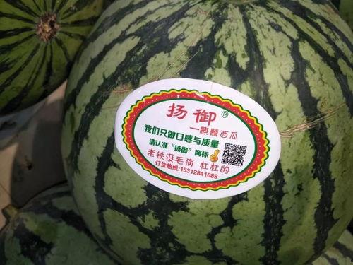 杭州夜骑吃瓜,探寻城市夜生活新风尚 第2张 杭州夜骑吃瓜,探寻城市夜生活新风尚 第2张