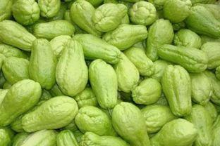 明明吃瓜在第几期,揭秘第X期精彩瞬间 第3张 明明吃瓜在第几期,揭秘第X期精彩瞬间 第3张