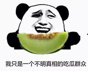 愚人吃瓜的雨  第2张