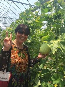 深圳龙岗吃瓜现场,街头热辣瞬间，见证城市活力  第3张