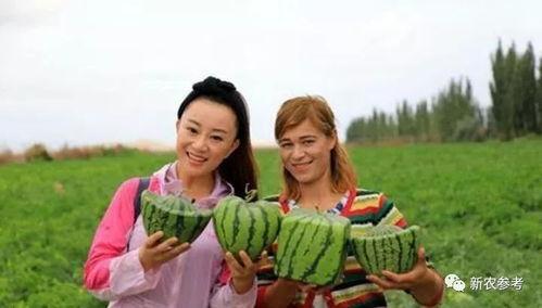 白某人吃瓜群众,吃瓜群众的视角解读娱乐圈风云  第2张