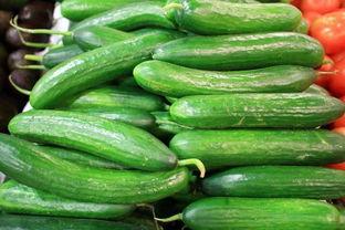 绿瓜可以吃吗,揭秘其可食用之谜  第2张