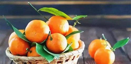 大胖橘吃瓜,揭秘娱乐圈幕后故事 第3张 大胖橘吃瓜,揭秘娱乐圈幕后故事 第3张