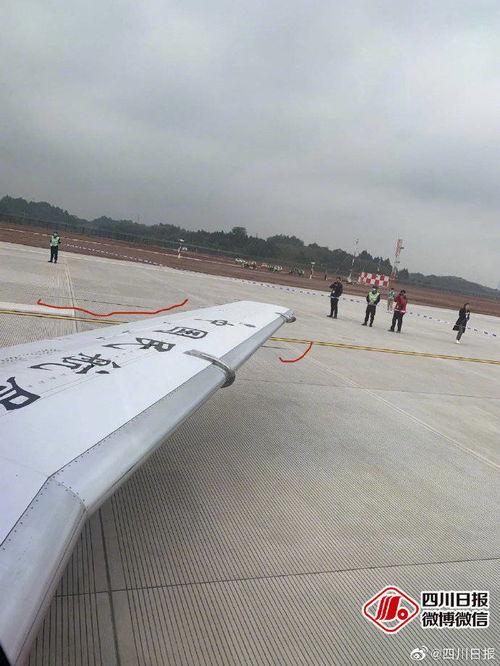 天府国际吃瓜,吃瓜群众的热议焦点  第2张