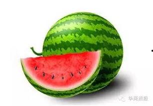 吃瓜77网,热门话题背后的真相与趣味  第2张