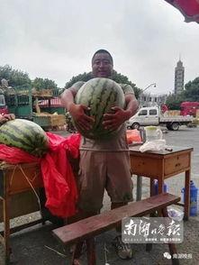 吃瓜77网,热门话题背后的真相与趣味  第3张